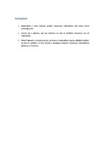 Referāts 'Matemātika un Visums', 11.