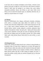 Referāts 'Turcija', 14.