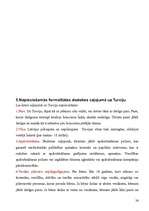 Referāts 'Turcija', 26.