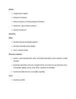 Konspekts 'Georgs Vilhelms Frīdrihs Hēgelis', 5.