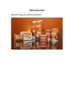 Biznesa plāns 'Mārketinga plāns "Kārums klasiskais"', 2.