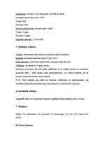 Biznesa plāns 'Mārketinga plāns "Kārums klasiskais"', 4.