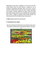 Biznesa plāns 'Mārketinga plāns "Kārums klasiskais"', 5.