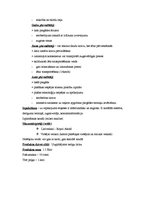 Biznesa plāns 'Mārketinga plāns "Kārums klasiskais"', 16.