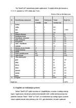 Biznesa plāns 'SIA „KeraPLUS”', 18.