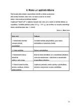 Biznesa plāns 'SIA „KeraPLUS”', 22.