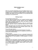 Referāts 'Medija mārketinga analīze', 1.