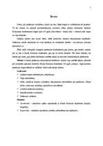 Referāts 'Hansa Kristiana Andersena pasaku masku balle sākumskolai', 2.