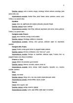 Referāts 'Hansa Kristiana Andersena pasaku masku balle sākumskolai', 12.