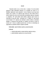 Referāts 'Pieejamības prasības ēdināšanas uzņēmumiem', 3.