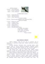 Konspekts 'Marts', 1.