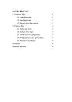 Referāts 'Darba samaksas organizēšana', 1.