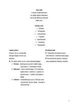 Referāts 'Vielas', 5.