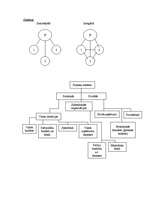 Konspekts 'Finanšu sistēma un politika', 2.