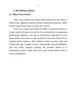 Referāts 'Maizes klasifikācija Latvijas kombinētajā nomenklatūrā', 5.