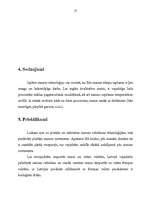 Referāts 'Maizes klasifikācija Latvijas kombinētajā nomenklatūrā', 17.