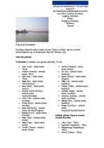 Referāts 'Rumānija', 10.