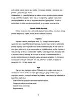 Referāts 'Analītiskais pārskats par aktīvo atpūtu lielākajai sabiedrības daļai un invalīdi', 5.