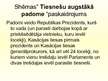 Prezentācija 'Itālijas civilo tieslietu struktūra. Tieslietu organizācija Itālijā un Latvijā', 18.