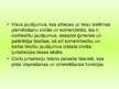 Prezentācija 'Itālijas civilo tieslietu struktūra. Tieslietu organizācija Itālijā un Latvijā', 25.