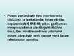 Prezentācija 'Itālijas civilo tieslietu struktūra. Tieslietu organizācija Itālijā un Latvijā', 31.
