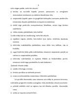 Referāts 'Speciālās ekonomiskās zonas Latvijā', 5.