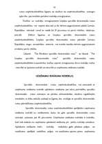 Referāts 'Speciālās ekonomiskās zonas Latvijā', 14.