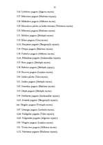 Referāts 'Speciālās ekonomiskās zonas Latvijā', 31.