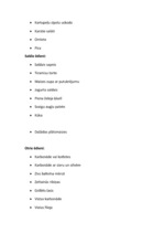 Prakses atskaite 'Prakses atskaite tūrismā', 13.