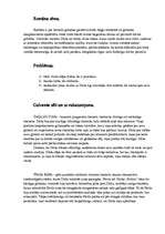 Konspekts 'Irmas Grebzdes romāna "Dūda" analīze', 2.