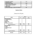 Biznesa plāns 'SIA Evolūvija biznesa plāns - autoskola', 17.