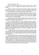 Referāts 'Kriminālsoda noteikšanas vispārīgie principi', 18.