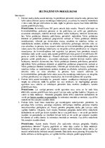 Referāts 'Kriminālsoda noteikšanas vispārīgie principi', 21.