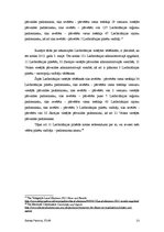 Referāts 'Parlamenta un vietējo vēlēšanu analīze, Lielbritānijas piemērs', 13.