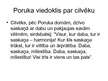 Prezentācija 'Jānis Poruks', 13.