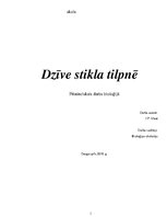 Prakses atskaite 'Dzīve stikla tilpnē', 1.