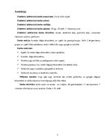 Prakses atskaite 'Dzīve stikla tilpnē', 2.