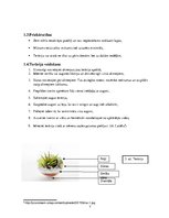 Prakses atskaite 'Dzīve stikla tilpnē', 7.