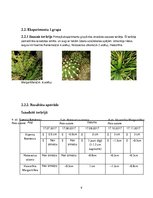 Prakses atskaite 'Dzīve stikla tilpnē', 9.