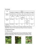 Prakses atskaite 'Dzīve stikla tilpnē', 10.