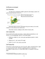 Prakses atskaite 'Dzīve stikla tilpnē', 13.