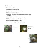 Prakses atskaite 'Dzīve stikla tilpnē', 14.