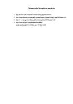 Eseja 'Latvijas un Nīderlandes starptautiskās tirdzniecības attiecības', 9.