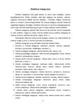 Konspekts 'Estētikas pamatkategorijas', 4.