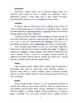 Konspekts 'Estētikas pamatkategorijas', 7.