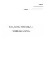 Paraugs 'Darba aizsardzības instruktāžas darbam augstumā', 1.