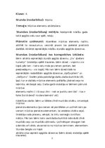 Prakses atskaite 'PEDAGOĢISKĀ PROCESA VĒROJUMU PRAKSE', 33.