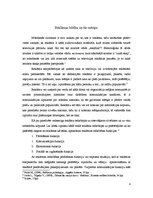 Referāts 'Reklāma un autortiesības. Likumdošana, problēmgadījumi', 4.