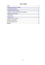 Referāts 'AS "Swedbank" mārketinga darbības novērtējums', 2.