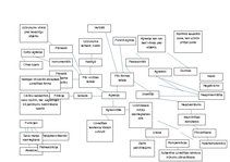 Paraugs 'Domu kartes: agresija, iztēle', 1.